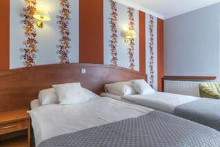 Отель Hotel Doris Оборники Просторный двухместный номер с 2 отдельными кроватями-9